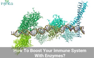 How To Boost Immune System With Enzymes?
