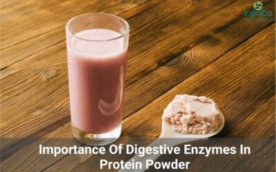 Digestive Enzymes And Their Importance In Protein Powder