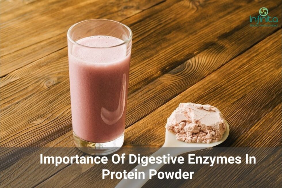 Importnace Of Digestive Enzymes In Protein Powder