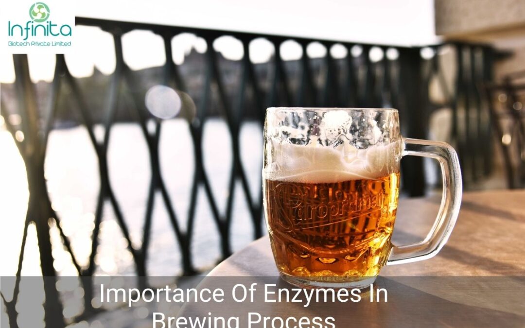 Why Are Enzymes Important In Brewing Process