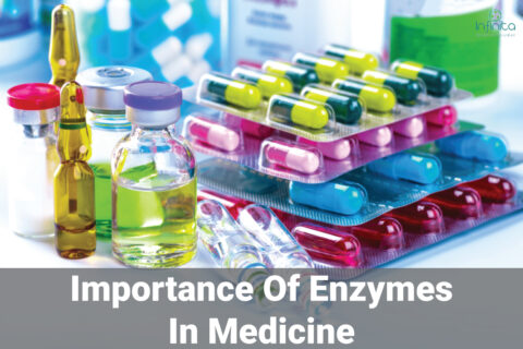 Importance Of Enzymes In Medicine | Infinita Biotech