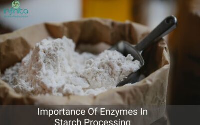 Why Are Enzymes Important In Starch Processing?