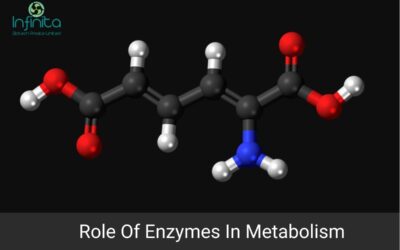 Role Of Enzymes In Metabolism
