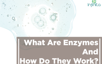 What Are Enzymes And How Do They Work?
