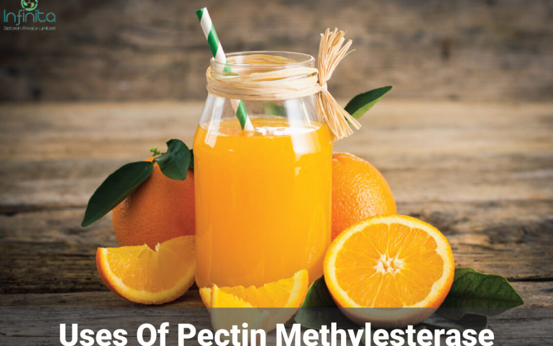 What Are The Uses Of Pectin Methylesterase?