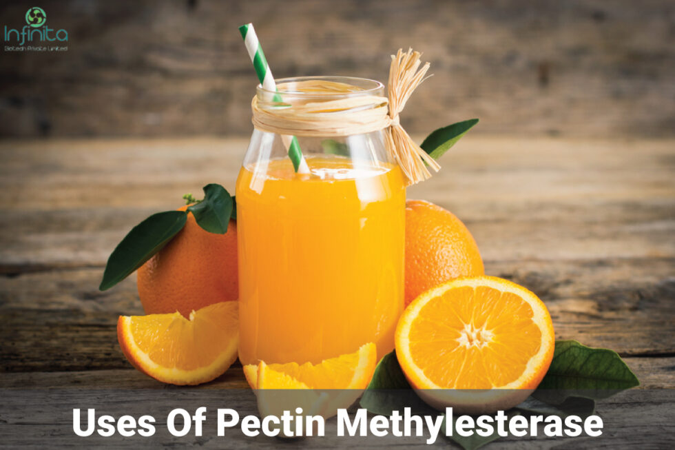 Top 3 Uses Of Pectin Methylesterase Infinita Biotech