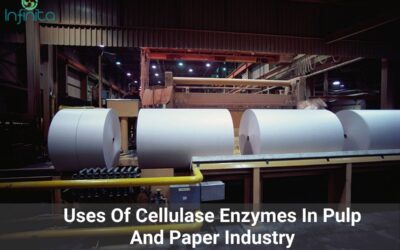 What Is Cellulase Enzyme? Uses Of Cellulases In Paper and Pulp Industry