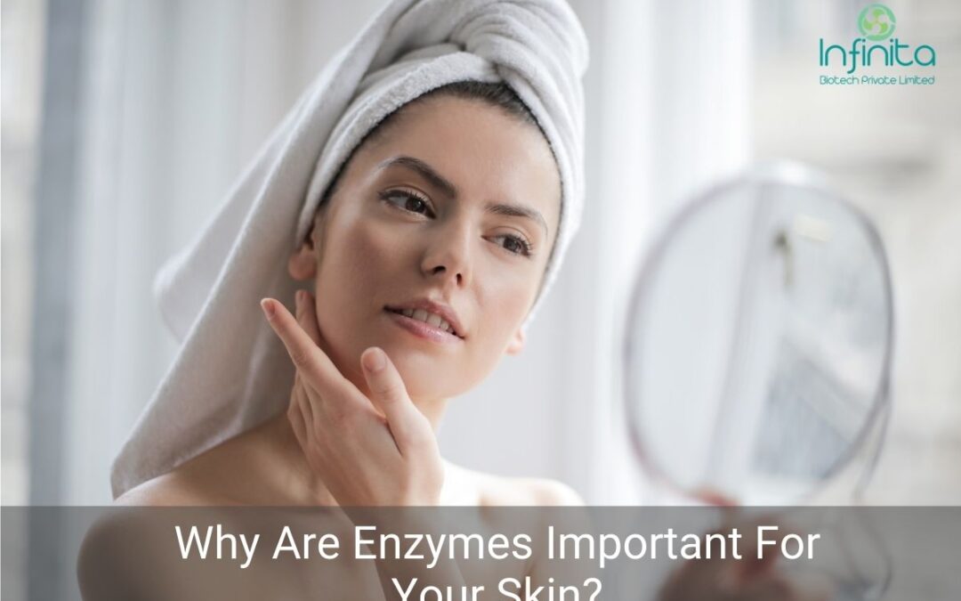 Why Are Enzymes Important For Your Skin?