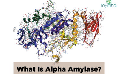 Alpha Amylase Enzyme And Its Uses