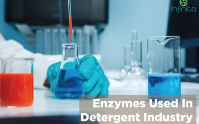 Enzymes Used In The Detergent Industry