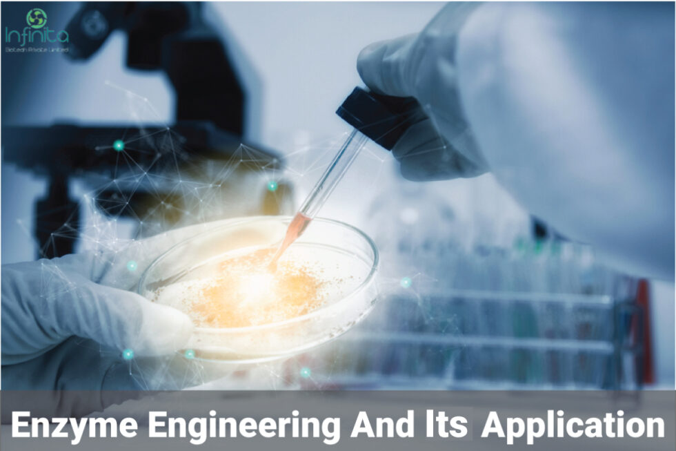 Enzyme Engineering And Its Application Infinita Biotech