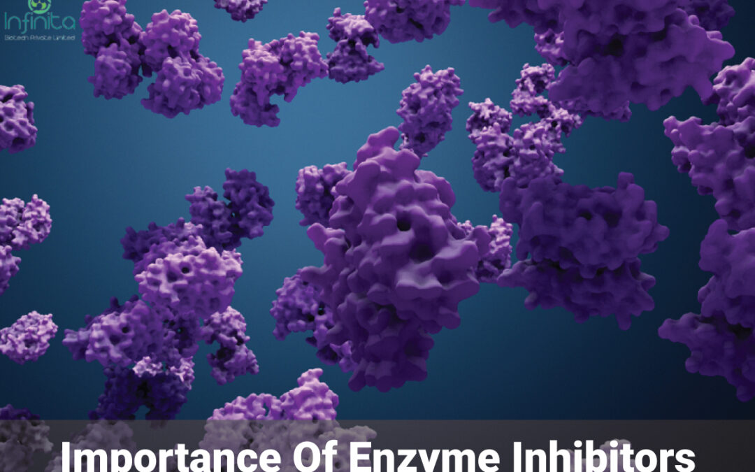 What Are Enzyme Inhibitors? Importance Of Enzyme Inhibitors