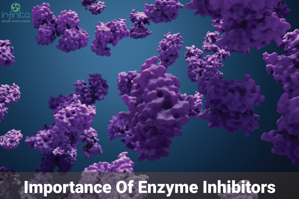 enzyme inhibitor examples