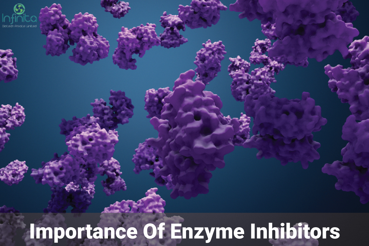 what-are-enzyme-inhibitors-and-its-importance-infinita-biotech