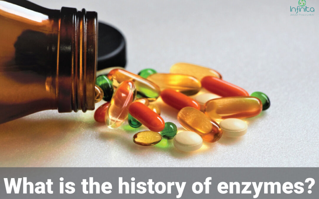 History Of Enzymes
