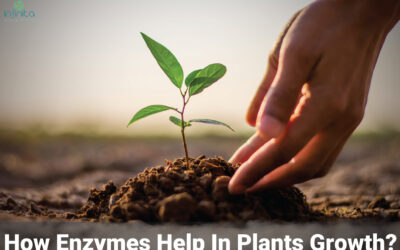 3 Best Enzymes For Plants Growth