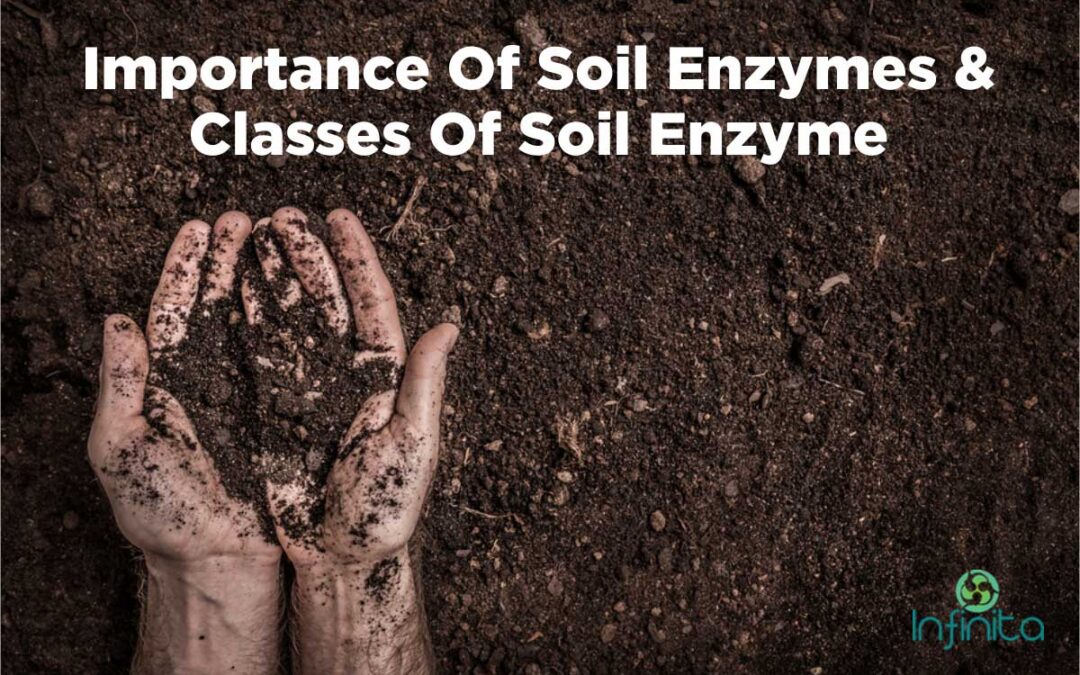 Soil Enzymes : Their Importance And Classes