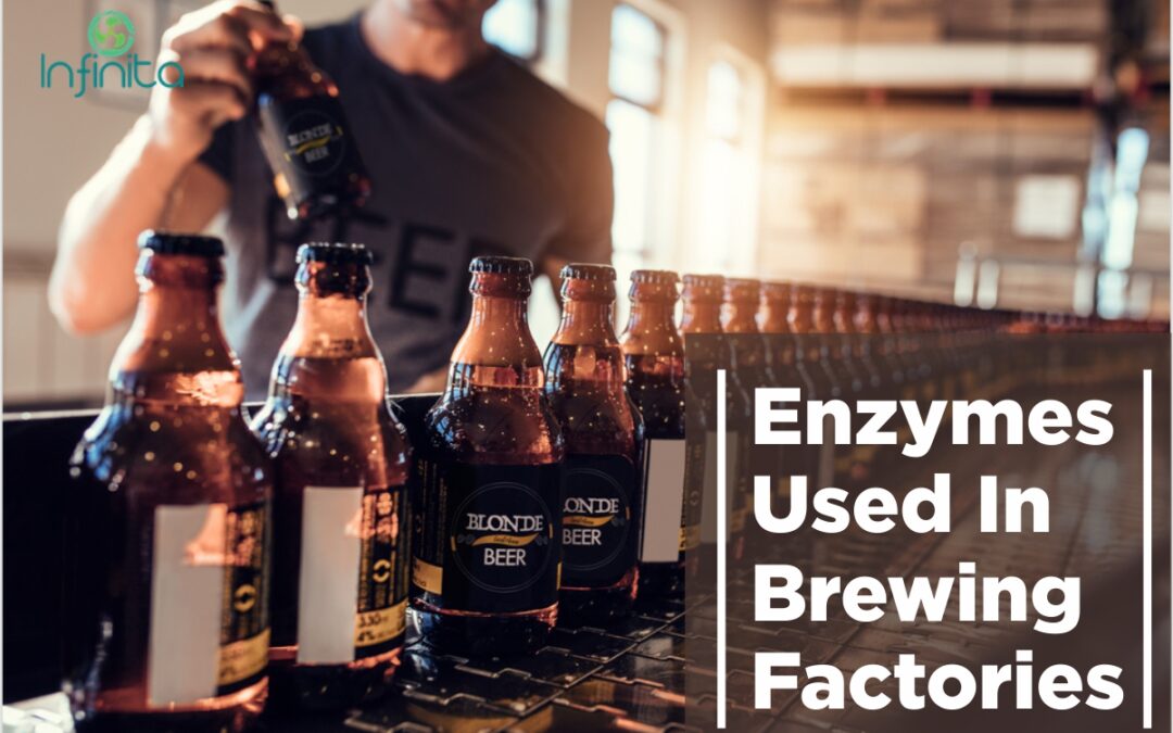 Enzymes Used In The Brewing Process
