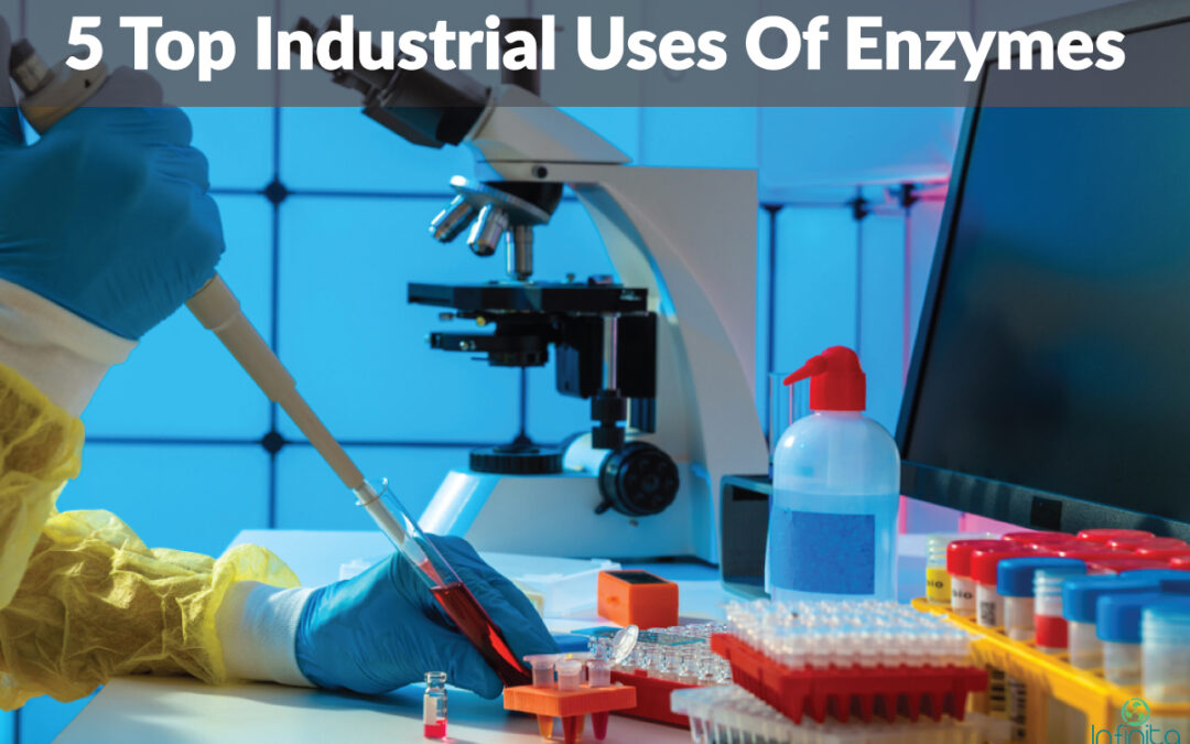 Industrial Uses Of Enzymes