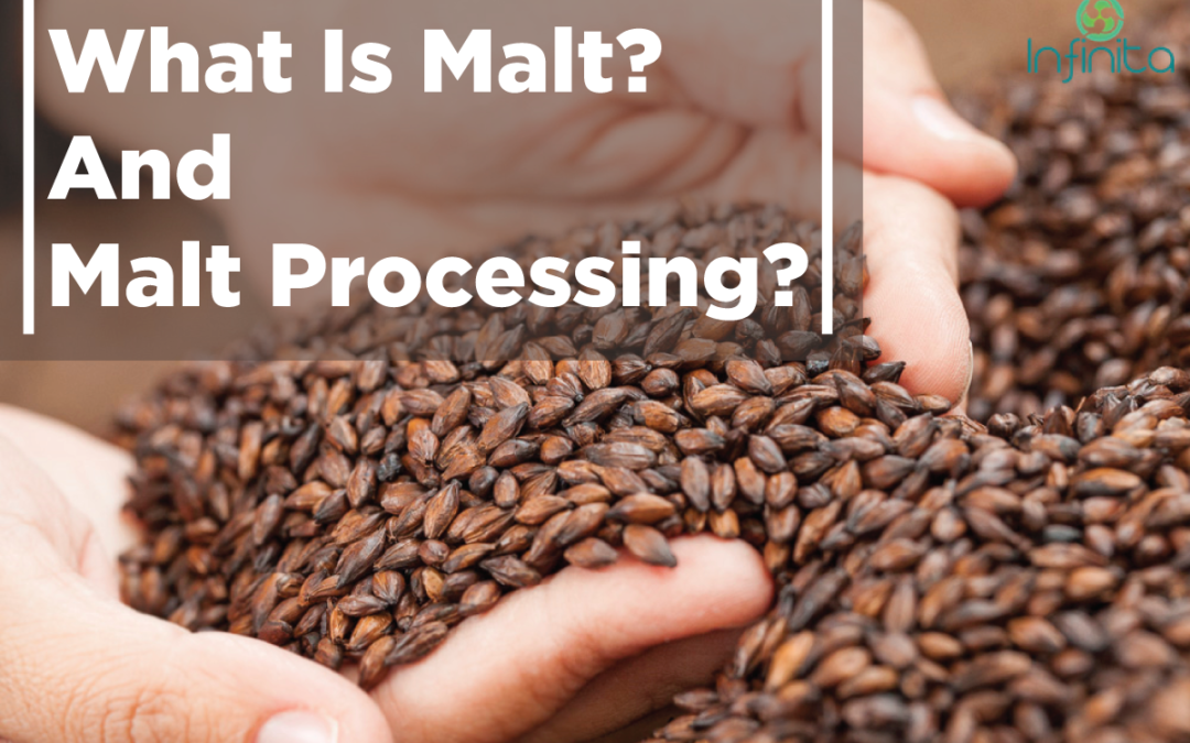 What Is Malt? And Malt Processing?