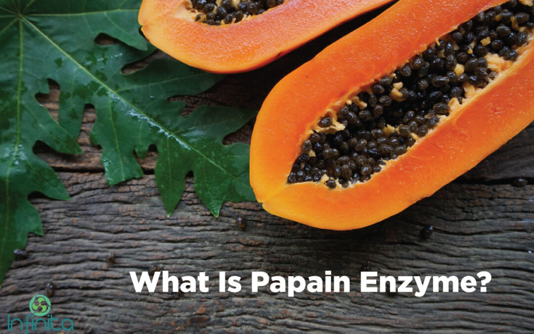 What Is Papain Enzyme And How Is It Made?