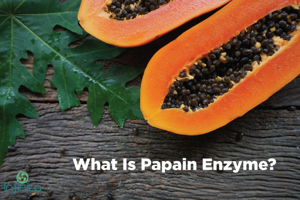 What Is Papain Enzyme And How Is It Made? Benefits Of Papain Enzyme