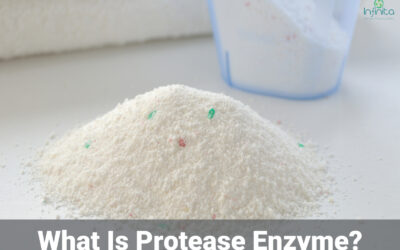 What Is Protease Enzyme And Its Uses In Detregent Industry