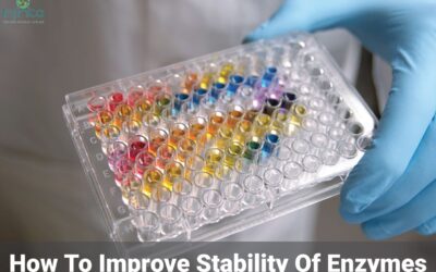 How To Improve The Stability Of An Enzyme
