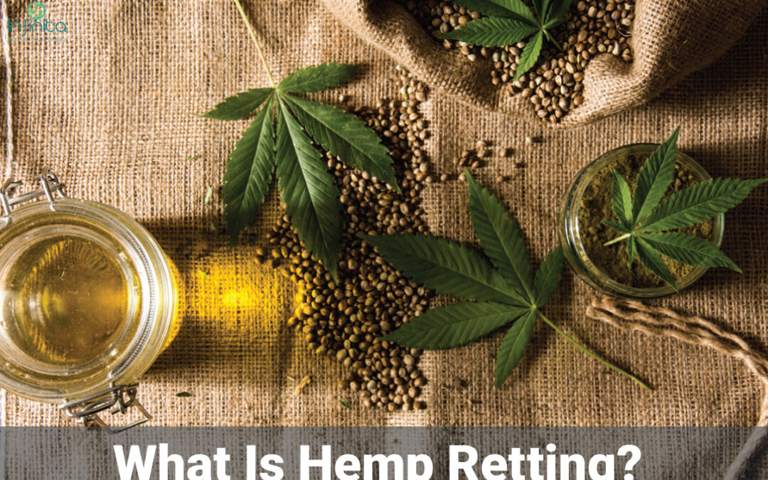 What Is Hemp Retting? Which Enzymes Are Used For Hemp Retting?