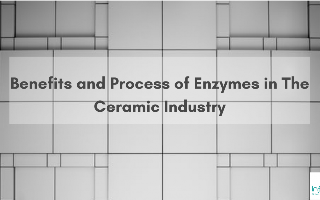 Benefits and Process of Enzymes in The Ceramic Industry