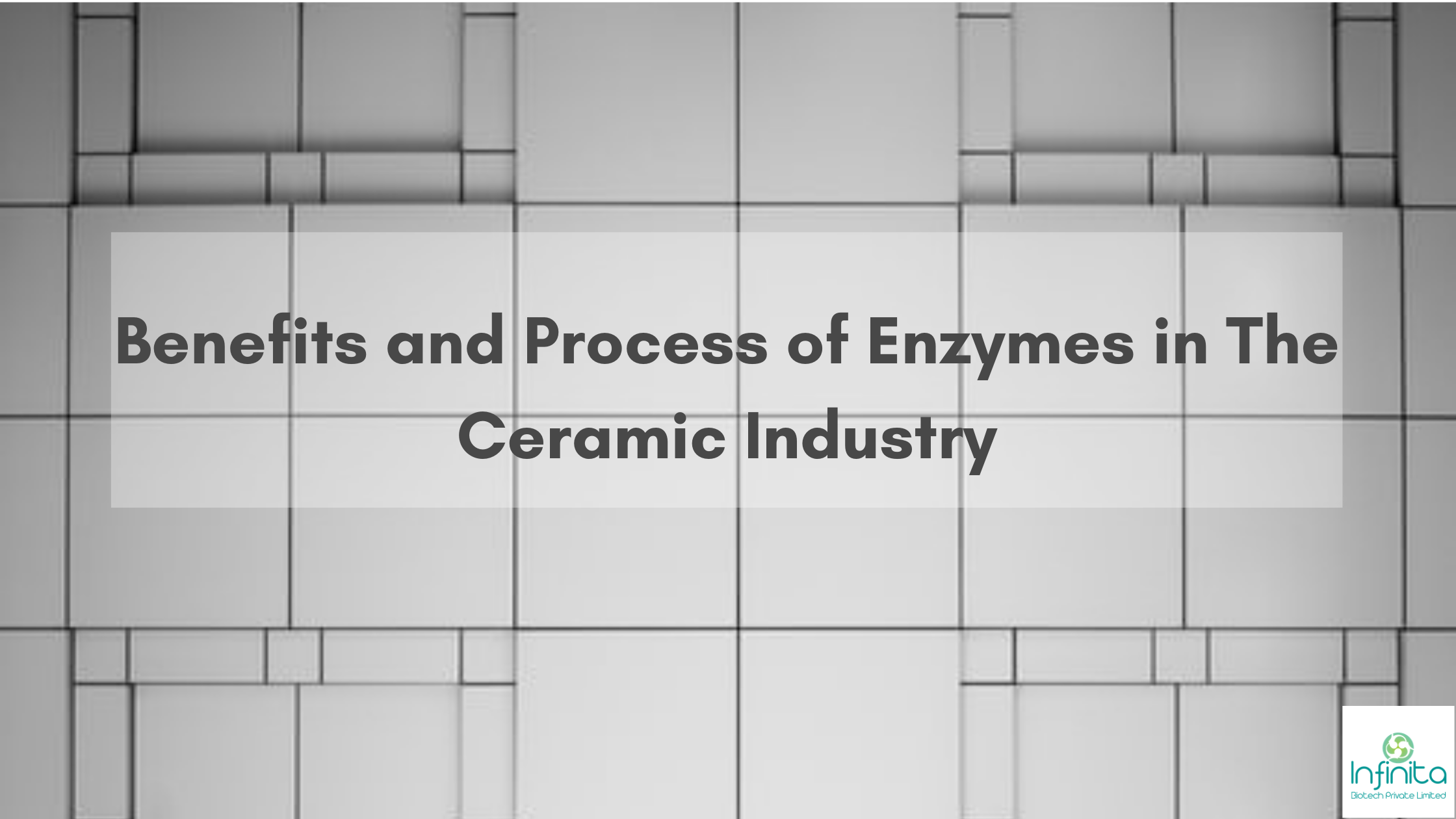 Benefits on enzymes in ceramic industry