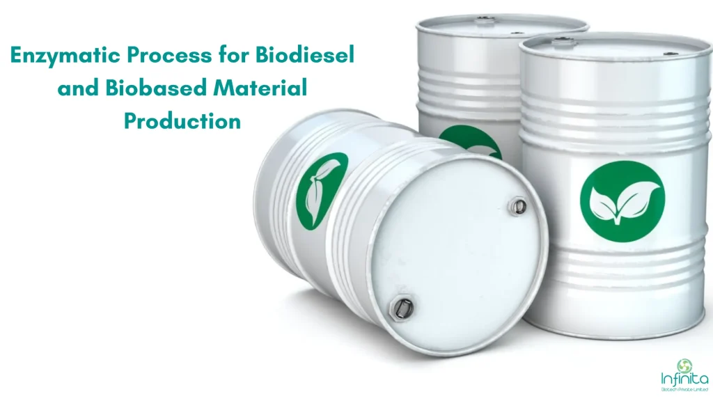 An Overview On Enzymatic Biodiesel Production | Infinita Biotech