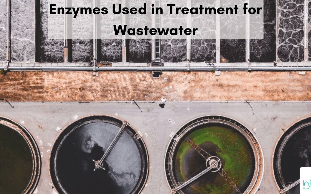Enzymes Used in Treatment for Wastewater