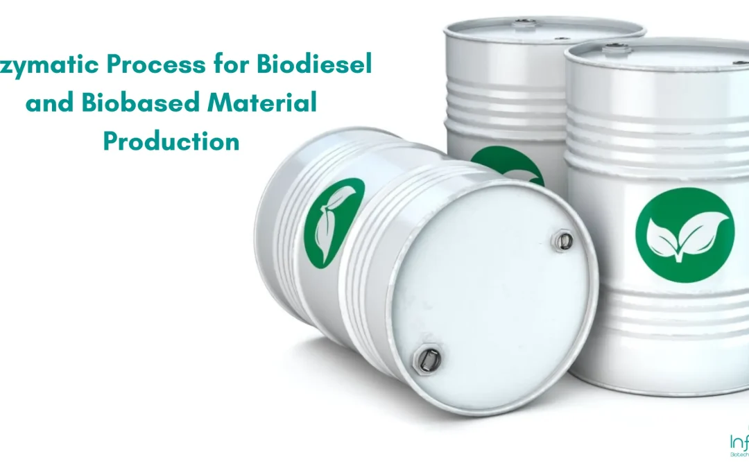 Enzymatic Process for Biodiesel and Biobased Material Production