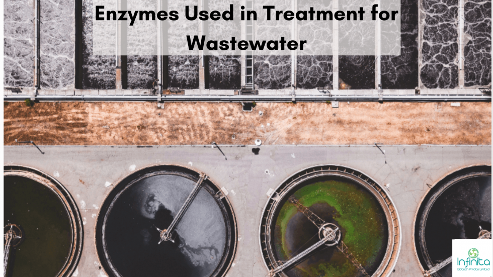 Application of Enzymes in Treatment of Wastewater