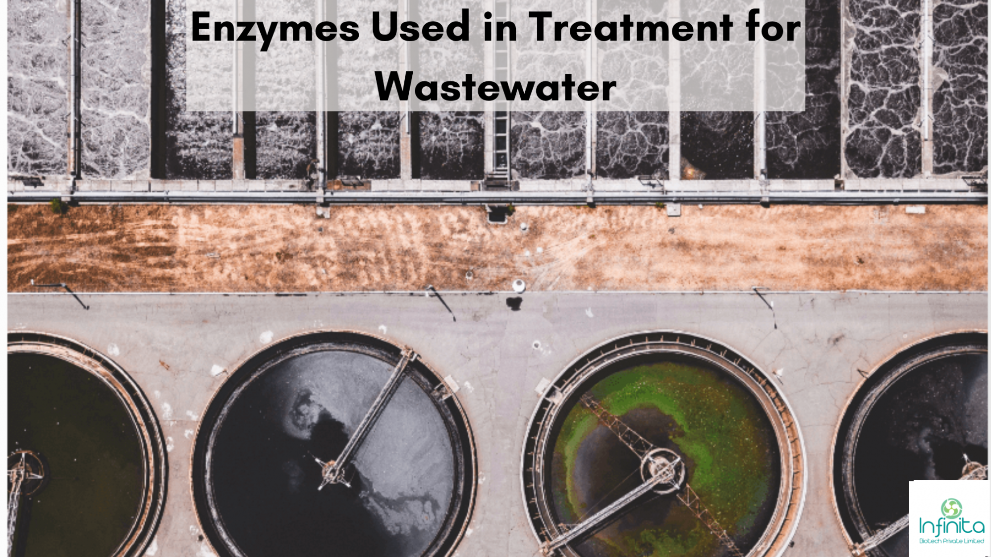 Enzymes Used in Treatment for Wastewater