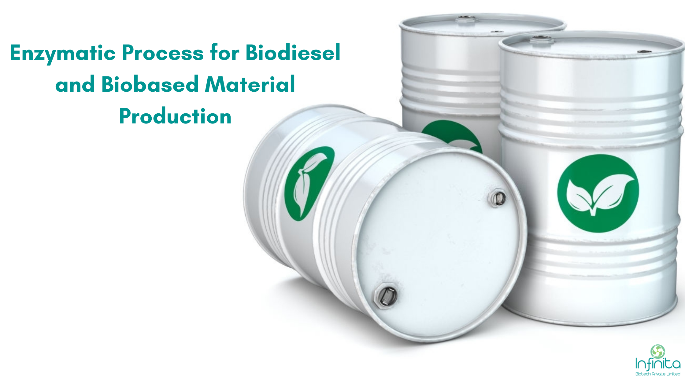 An Overview on Enzymatic Biodiesel Production