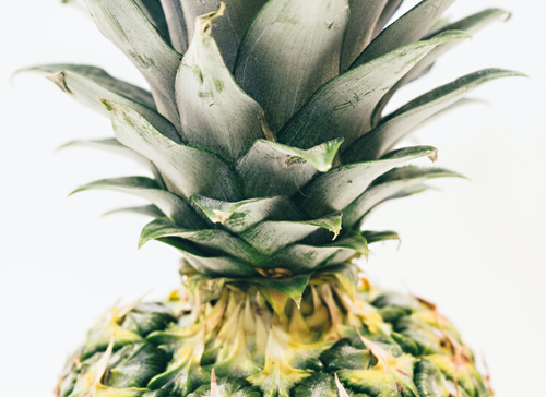 pineapple-supply-co-GygMSKhyjLw-unsplash (1)