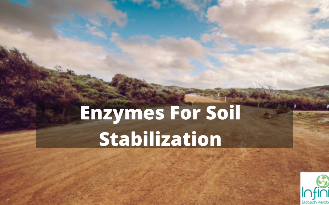 Enzymes For Soil Stabilization