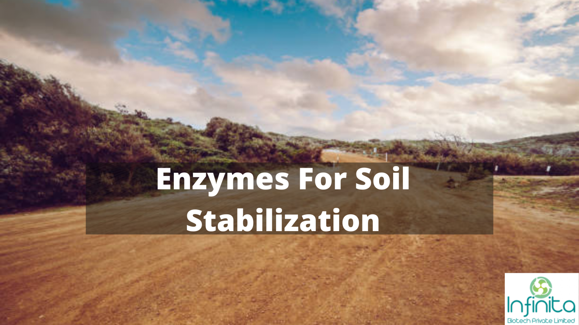 enzymes for soil stabilization