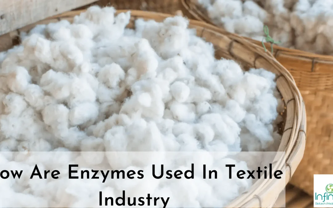 How Are Enzymes Used in Textile Industry?