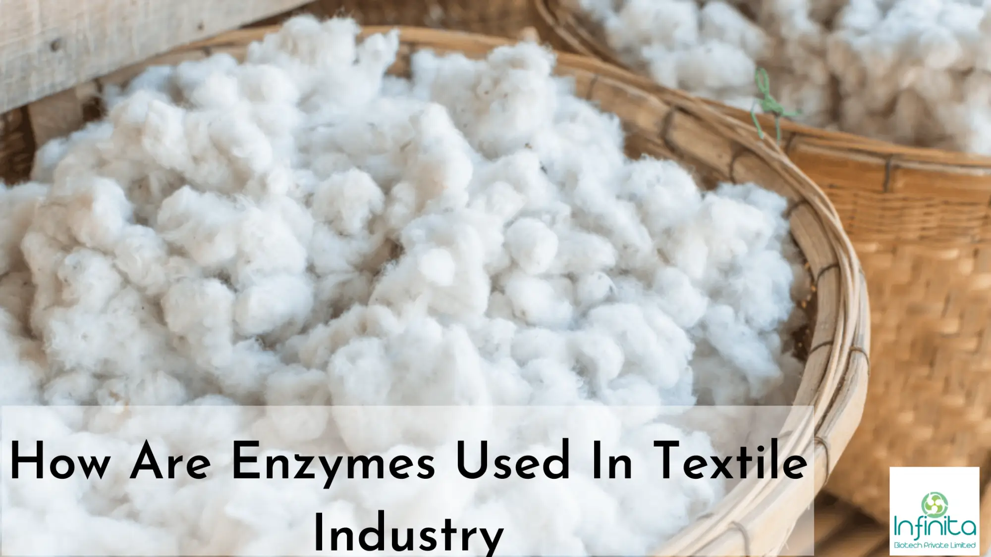 Enzymes Textile Industry