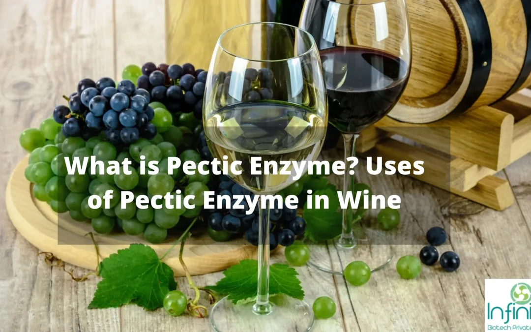 What is a Pectic Enzyme? Uses of Pectic Enzyme in Wine