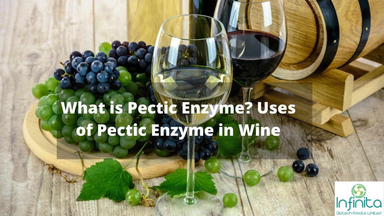 What is Pectic Enzyme? Uses of Pectic Enzyme in Wine