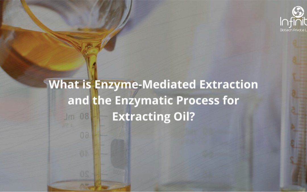 What is Enzyme-Mediated Extraction and the Enzymatic Process for Extracting Oil?