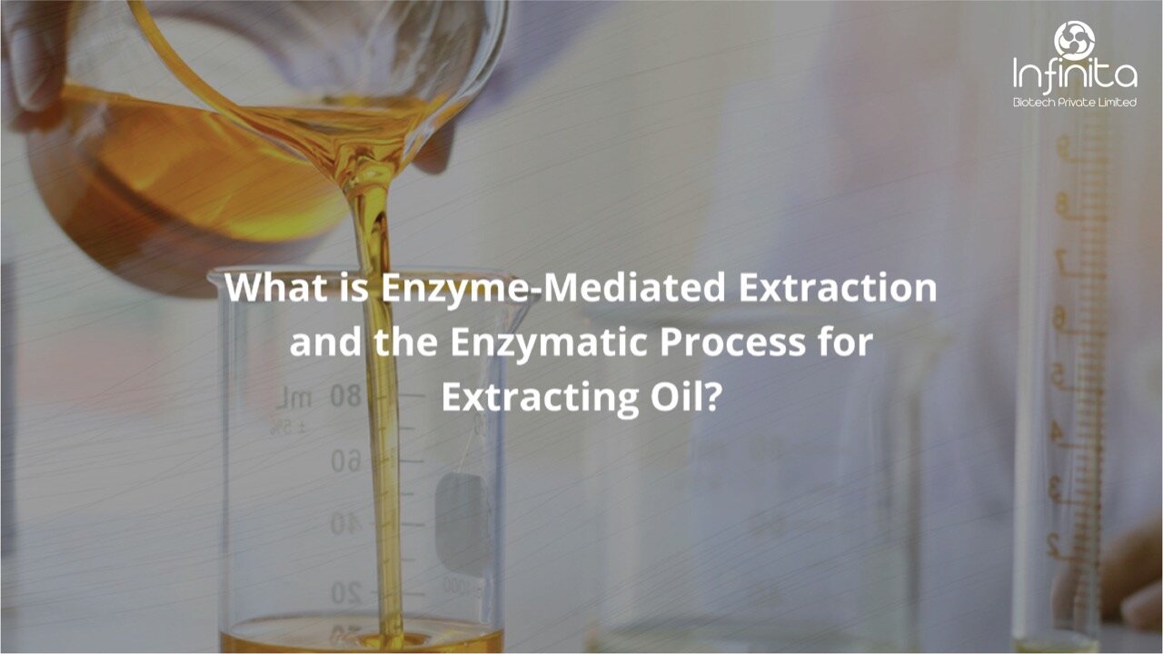 enzyme extracting oil
