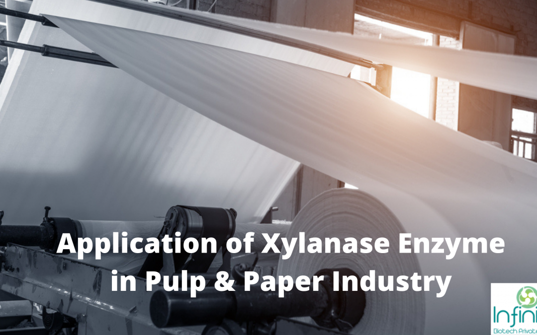 Application of Xylanase Enzyme in Pulp & Paper Industry