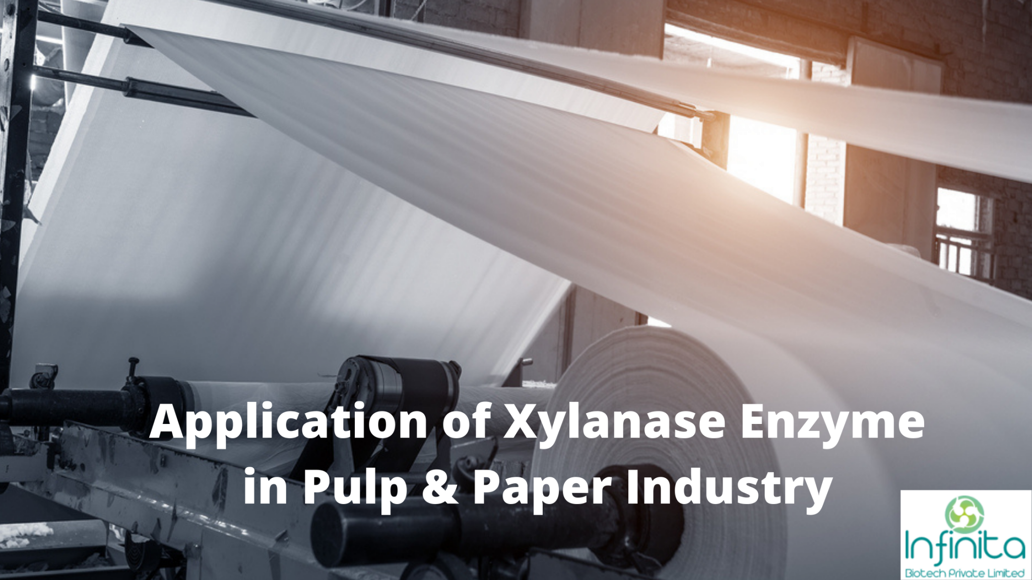 Application of Xylanase Enzyme in Pulp & Paper Industry Infinita Biotech