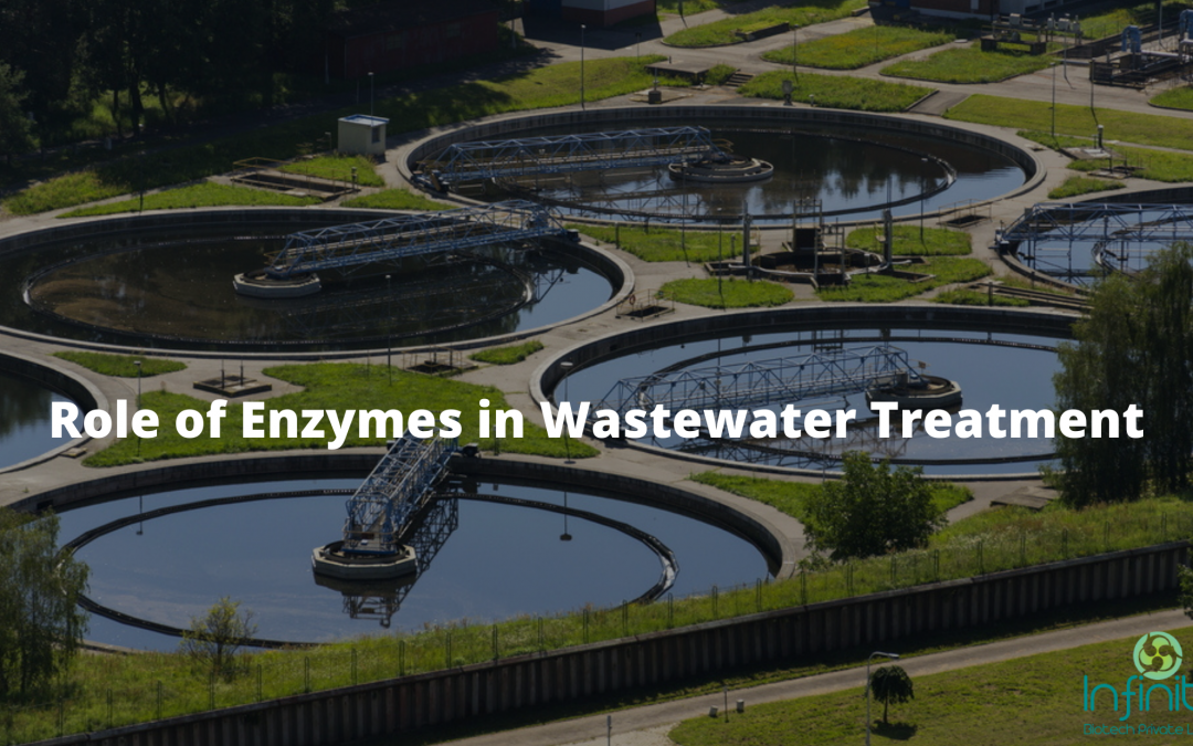 Role of Enzymes in Wastewater Treatment
