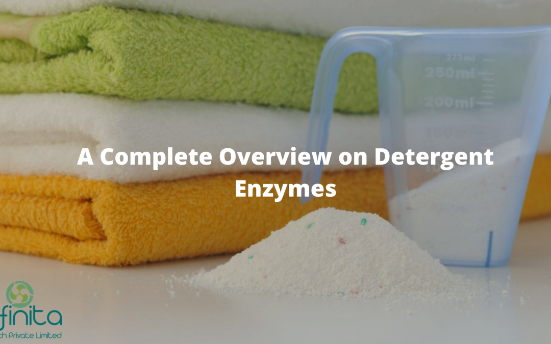 A Complete Overview on Detergent Enzymes